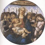 Madonna and Child with eight Angels or Raczinskj Tondo (mk36) Botticelli